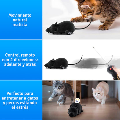 Juguete Raton Control Remoto 22022
