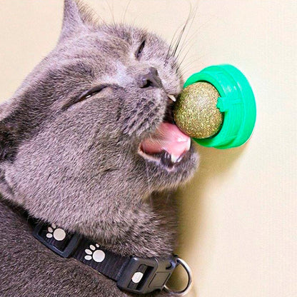 Juguete Para Gatos Anti Estrés AHY03