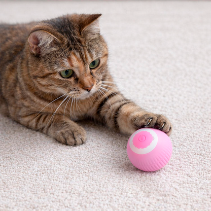 Mini pelota Interactiva Juguete Gato 488